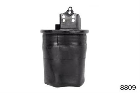 MOLA PNEUMATICA SUSPENSAO EIXO TRAS FH - 2004 a 2014 8809 