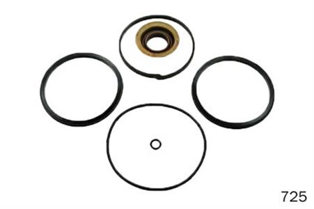 REPARO CILINDRO/CANECO TROCA CAIXA ZF - FH/NH/FM 725