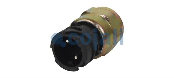 INTERRUPTOR PRESSAO FREIO ESTACIONARIO FH 1160 