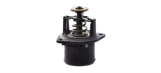 VALVULA TERMOSTATICA MWM X10 10185 