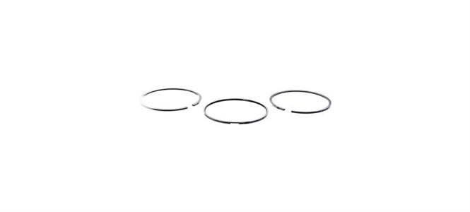 ANEL SEGMENTO PISTAO MWM MAXXFORCE 10175 