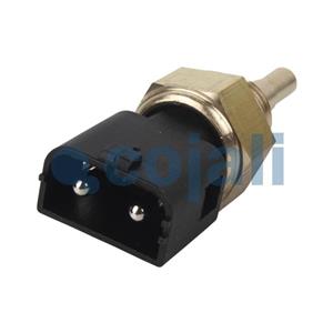 SENSOR TEMPERATURA CAIXA CAMBIO VT 1732 