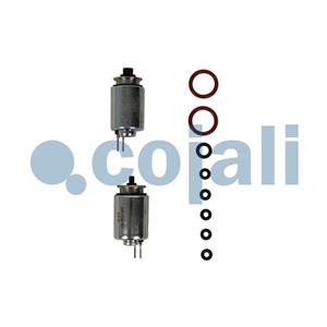JG VALVULAS SOLENOIDES VALVULA APM FH4/FM4 - C/ 2 VALVULAS 2398 